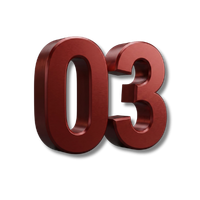 número 03 bordô
